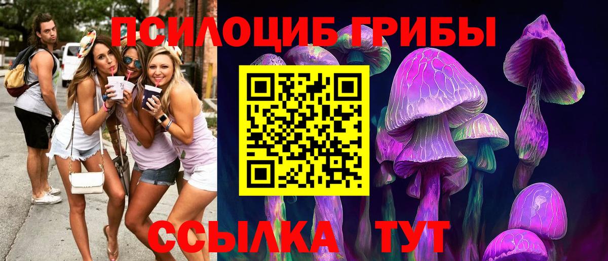 Галлюциногенные грибы MAGIC MUSHROOMS  как найти наркотики  Псилоцибиновые грибы Magic Shrooms  Магадан  Вход с VPN 