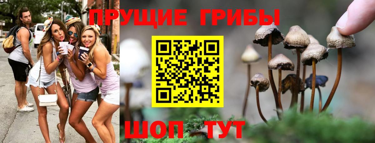 Галлюциногенные грибы ЛСД Магадан